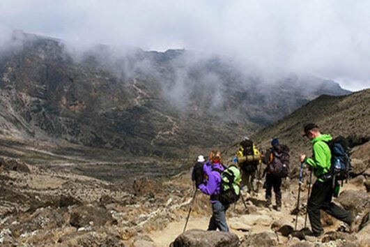 Rongai Route